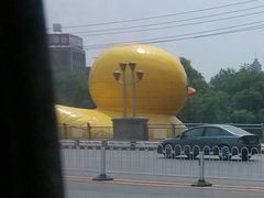 景点-沈阳南湖公园