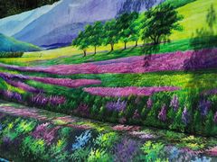 -广州白江湖森林公园