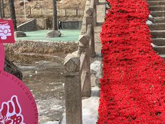 -洛阳白云山景区