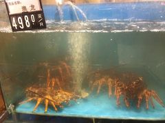 -金鹰超市(国际购物中心新街口店)