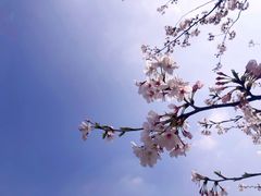 -龙美术馆(西岸馆)