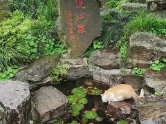-无锡梅园公园