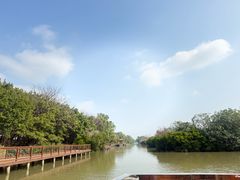 -大湾区中央湿地公园