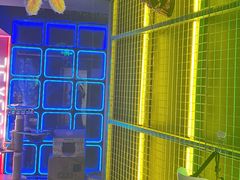 -暗楼·剧本杀·桌游