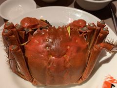 -夜上海(新天地店)