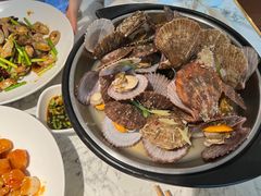 蒸汽红贝-悦海·家宴·冰花皮皮虾大锅贴(宝龙店)