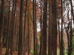 -华南国家植物园-售票处