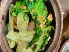 虾酱啫唐生菜胆-粤集·手工粤菜(皇庭广场店)