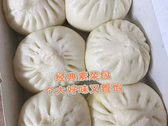 松月楼净素菜包-春风松月楼(七宝万科店)