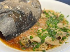 -驻海渔市(置信店)