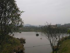 -枫香湖儿童公园