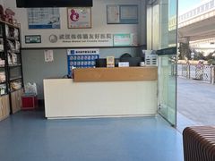 -伟伟宠物医院·瑞派猫友好医院·猫科(光谷店)