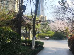 -运河游船(武林门码头)