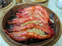 -宝塘茶楼