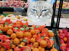 -农工商超市(金沙江路店)