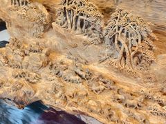 -福建省非物质文化遗产博览苑