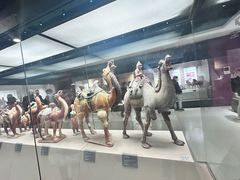 -西安大唐西市博物馆