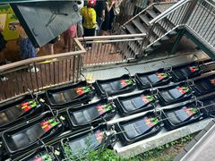 -圣淘沙天际线斜坡滑车