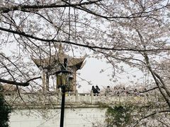 -苏州上方山国家森林公园