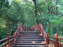 -紫金山山顶公园