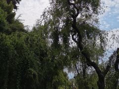 -南诏风情岛