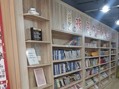 -安妮花英语·少儿·原版阅读(青岛远洋中心馆店)