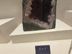 -安徽省地质博物馆