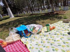 -太湖湖滨国家湿地公园-停车场