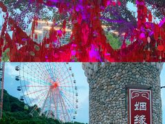 -温州乐园