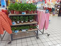 -大润发(鹤山店)