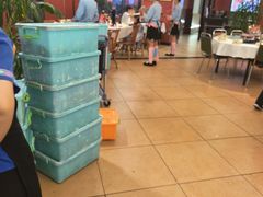 -刘姐啤酒鱼民族演艺餐厅(西街总店)