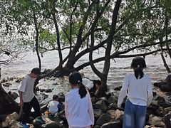 -宝安西湾红树林湿地公园