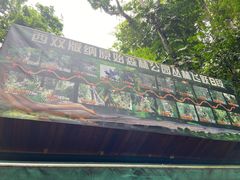 -西双版纳原始森林公园