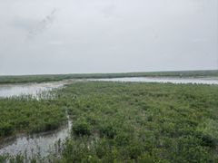 -北海金海湾红树林生态旅游区