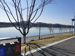 -羊山湖公园