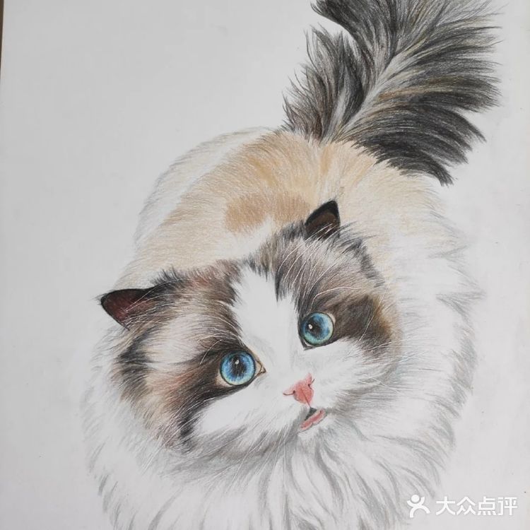 我的毛孩子[亲亲]