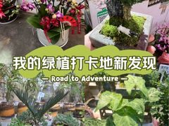 -花鸟鱼虫鲜花绿植市场(玉泉路店)