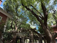 -上海瑞金洲际酒店