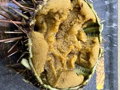 -海胆小馆(东北水饺·春柳店)