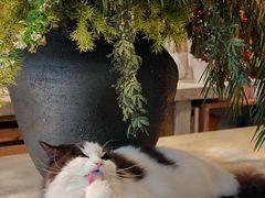 -自由生长植物工作室(深港花卉中心店)