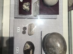 -北京中医药大学-中医药博物馆