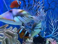 -多彩贵州城极地海洋世界