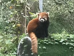 -仙芝竹尖生态园旅游景区