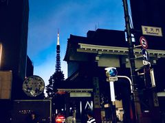 -东京塔海贼王主题公园