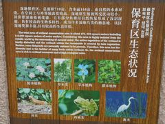 -梁鸿国家湿地公园