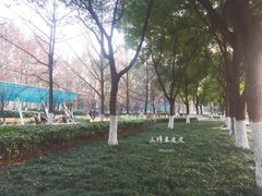 景点-后襄河公园