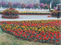 -燕郊植物园