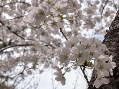 -少华山国家森林公园