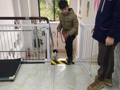 -莘程宠物医院(金山店)