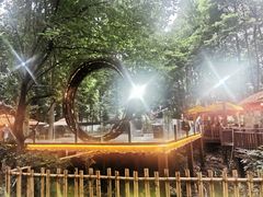 -二荆条·蜀鲜汇城市森林火锅